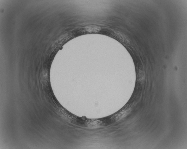 X0000067870321200605111806