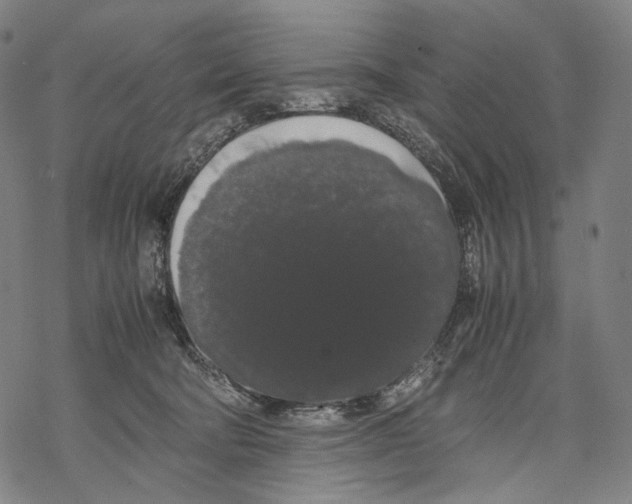 X0000067870322200605111806