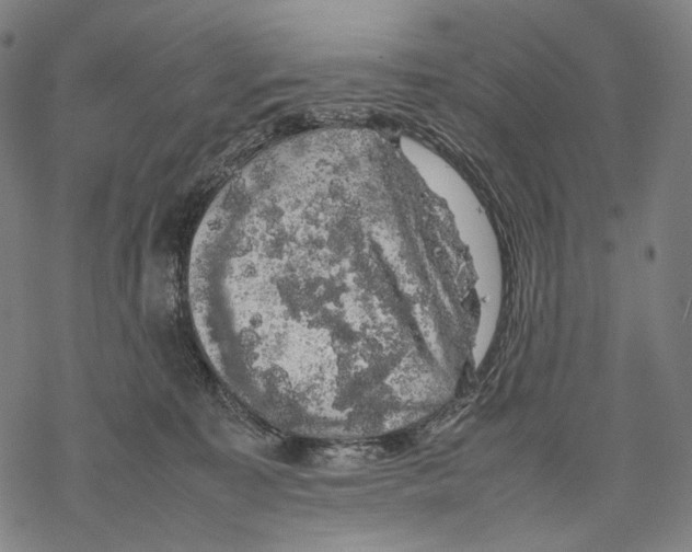 X0000067870323200605111806