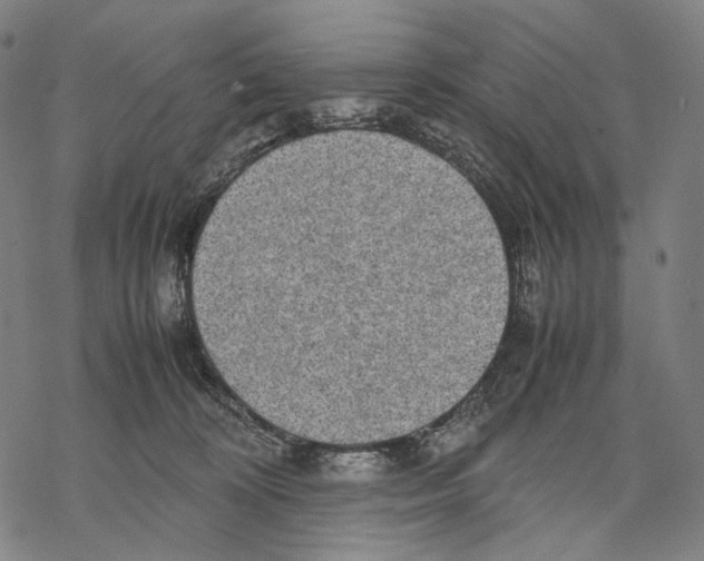 X0000067870324200605111806