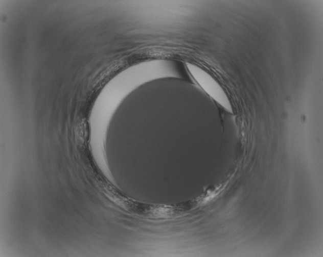 X0000067870325200605111806