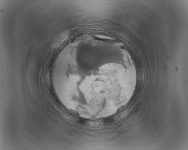 X0000067870327200605111806