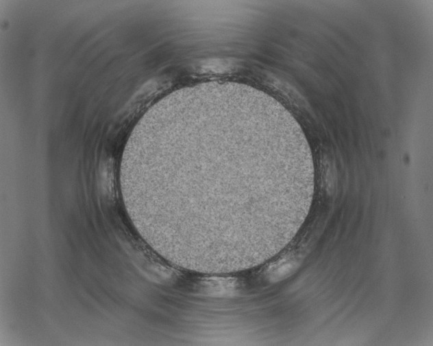 X0000067870328200605111806