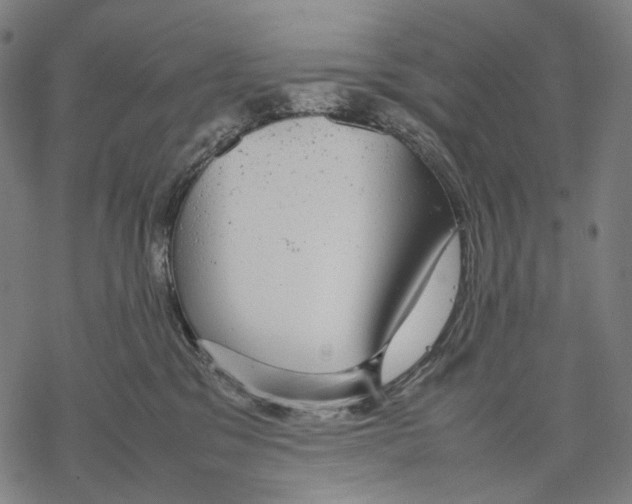 X0000067870329200605111806