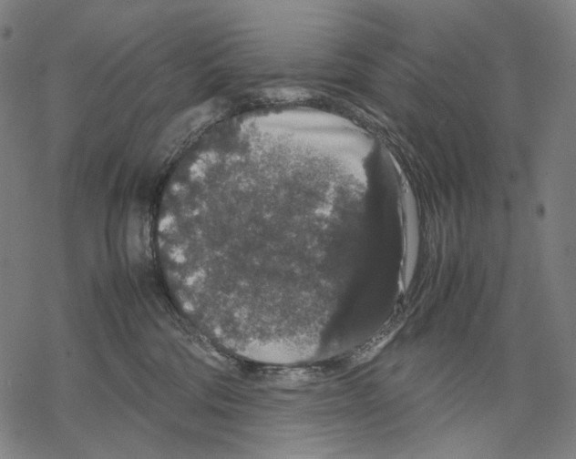 X0000067870330200605111806