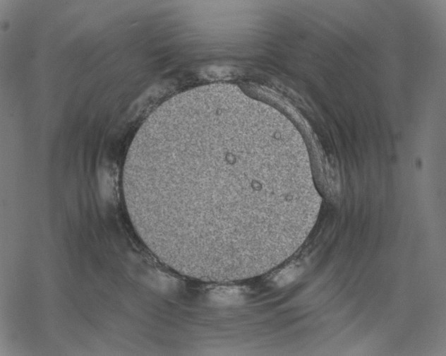 X0000067870332200605111806