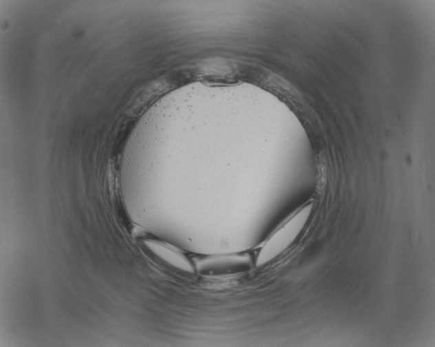 X0000067870333200605111806