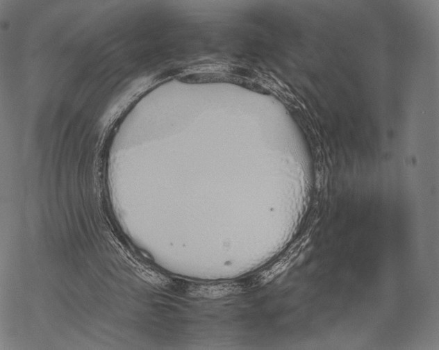 X0000067870341200605111805