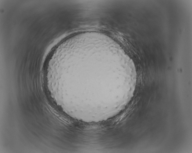 X0000067870342200605111805