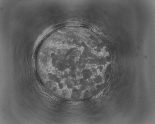 X0000067870343200605111805