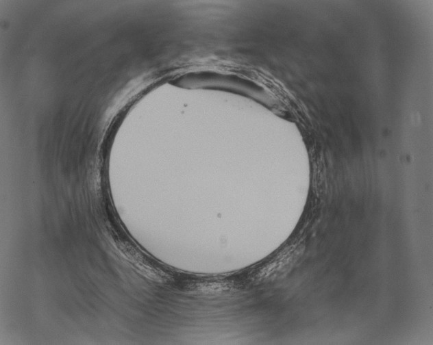 X0000067870344200605111805