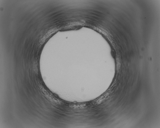 X0000067870345200605111805