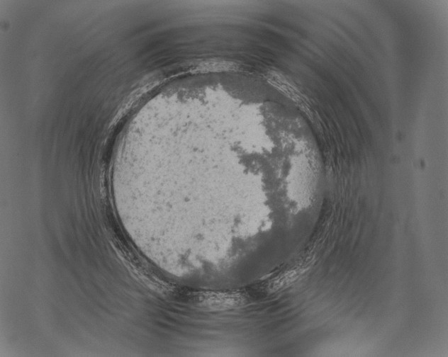 X0000067870347200605111805