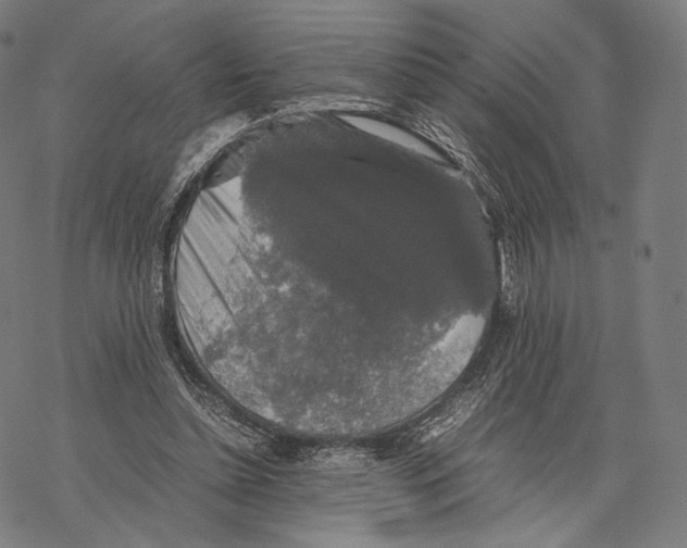 X0000067870348200605111805