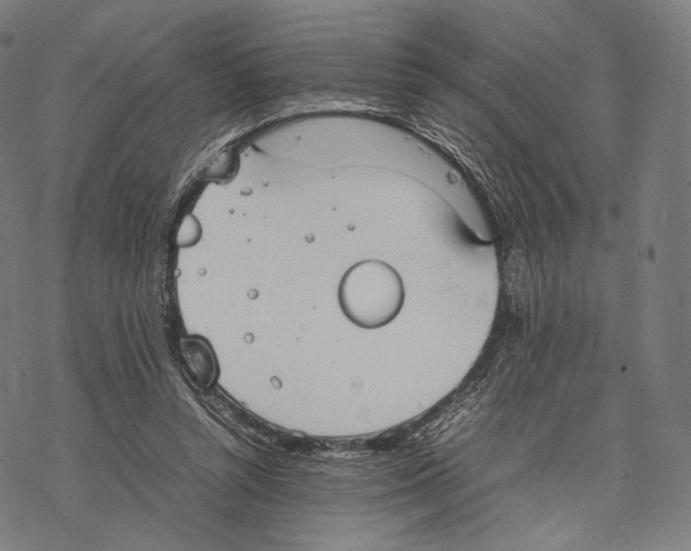 X0000067870352200605111805