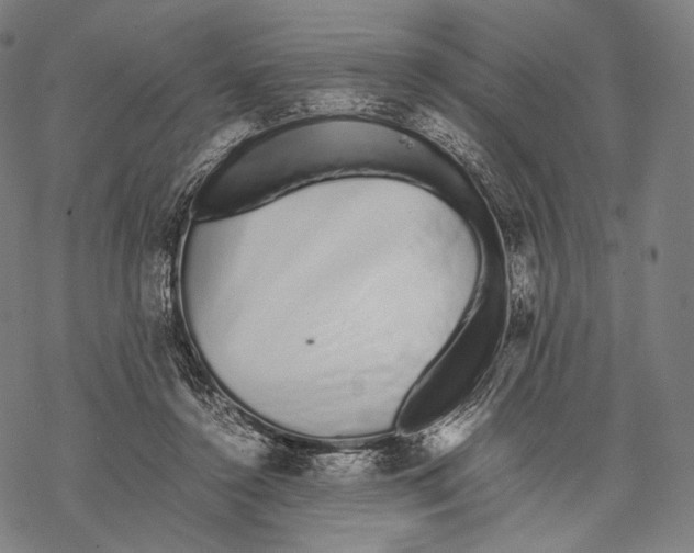 X0000067870356200605111805