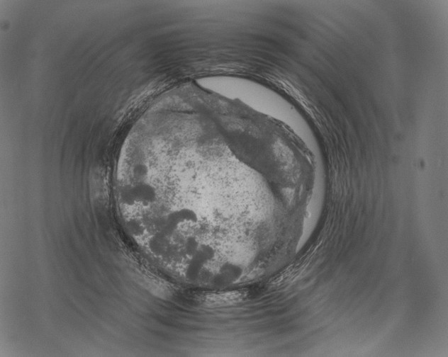 X0000067870357200605111805