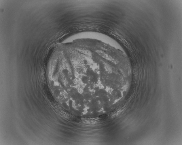 X0000067870359200605111805