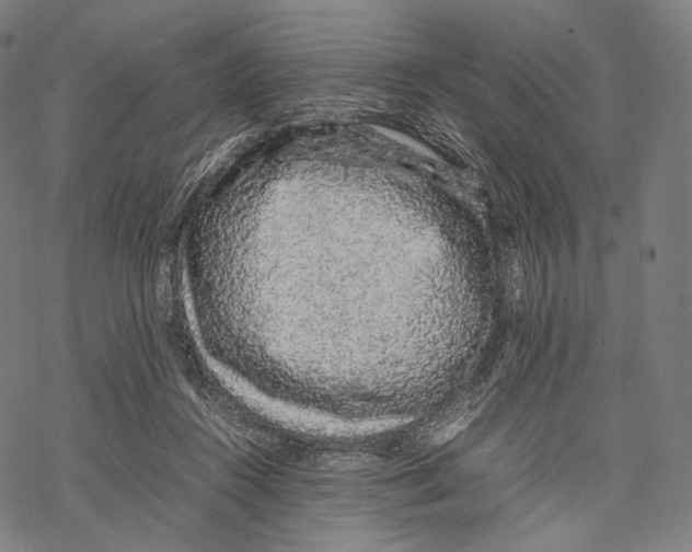 X0000067870360200605111805