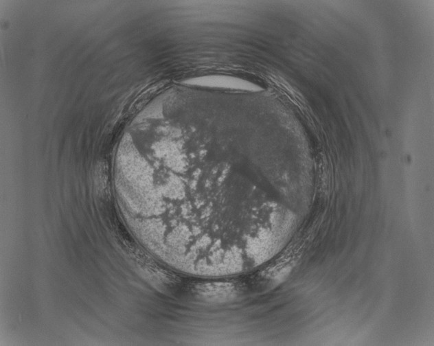 X0000067870361200605111805