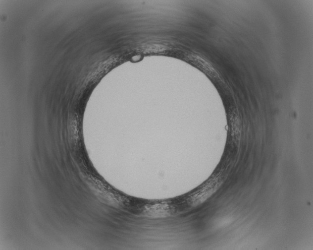 X0000067870362200605111805