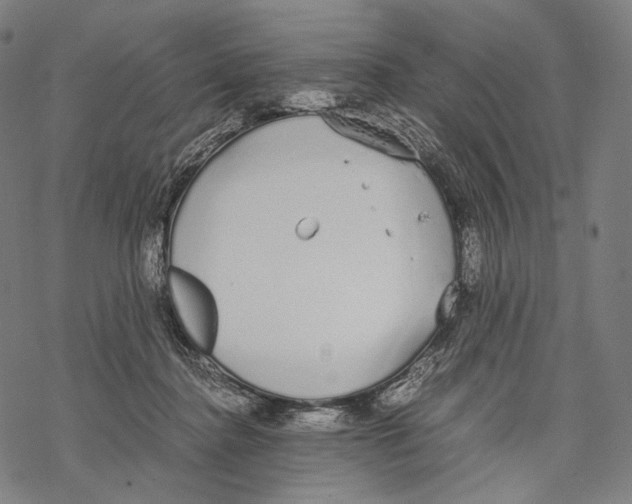 X0000067870364200605111805