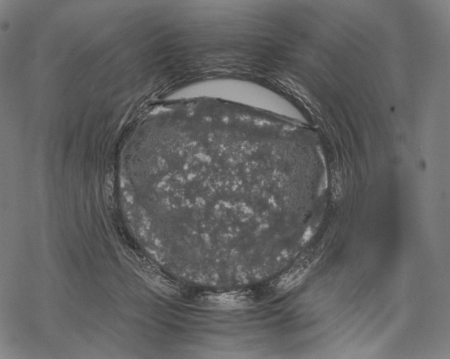 X0000067870365200605111805