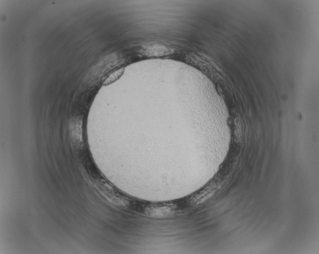 X0000067870368200605111805