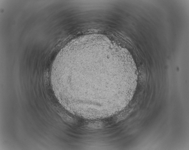 X0000067870369200605111805