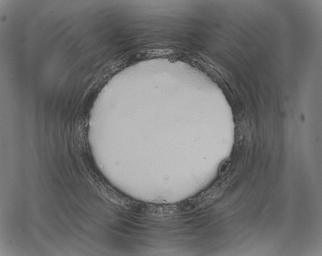 X0000067870373200605111805