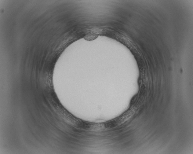 X0000067870374200605111806