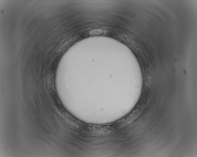 X0000067870375200605111806