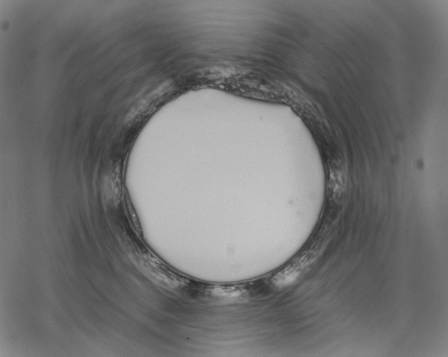 X0000067870376200605111806