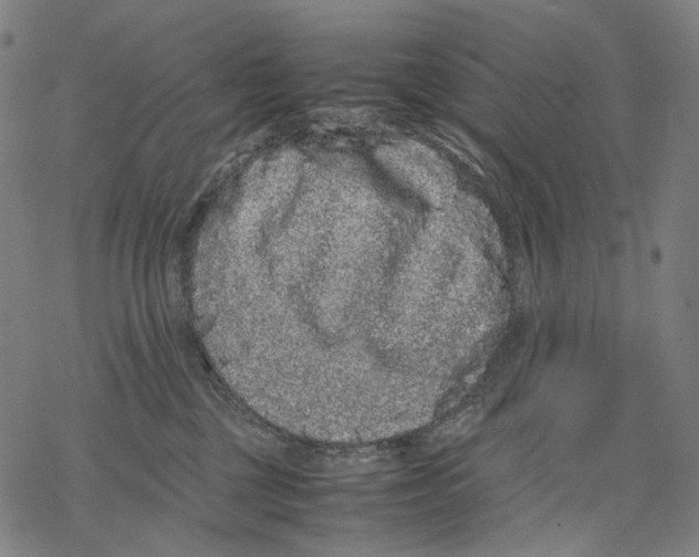 X0000067870377200605111806