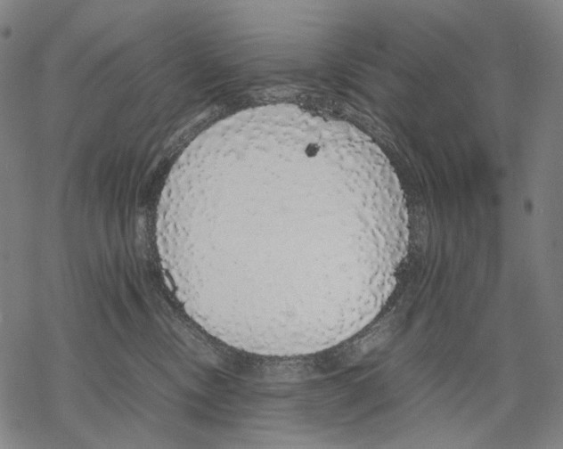 X0000067870378200605111806