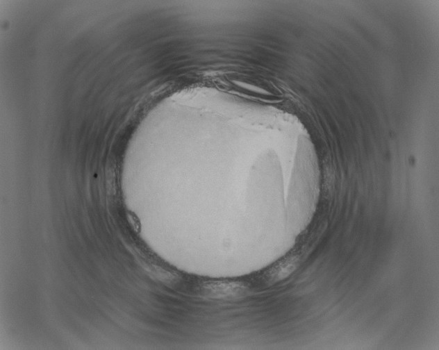 X0000067870379200605111806