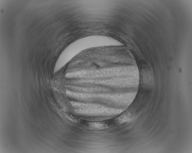 X0000067870380200605111806