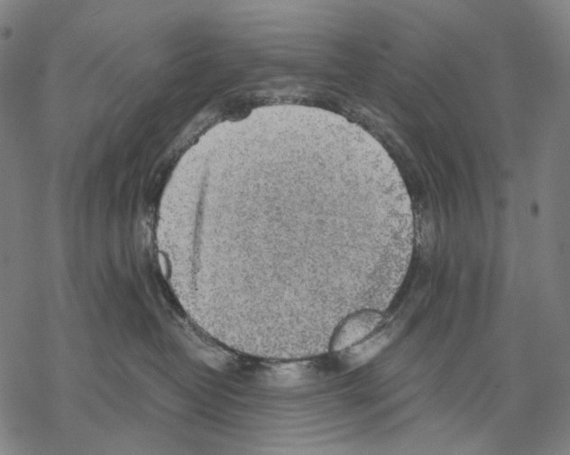 X0000067870382200605111806