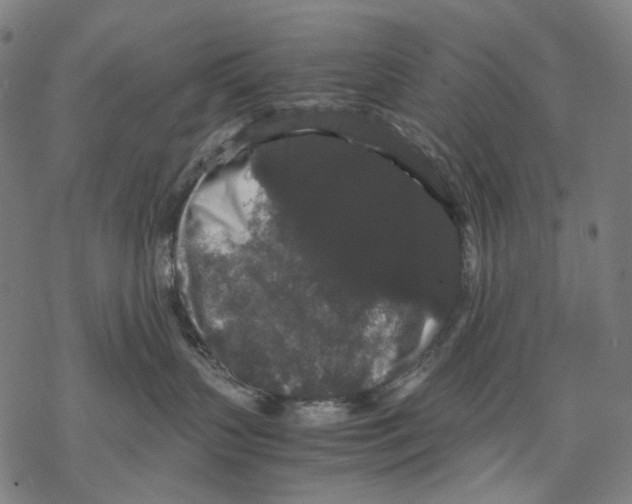 X0000067870383200605111806