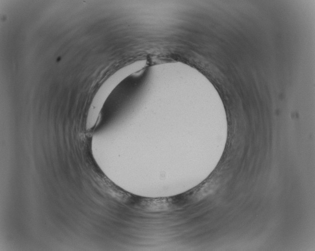 X0000067870384200605111806