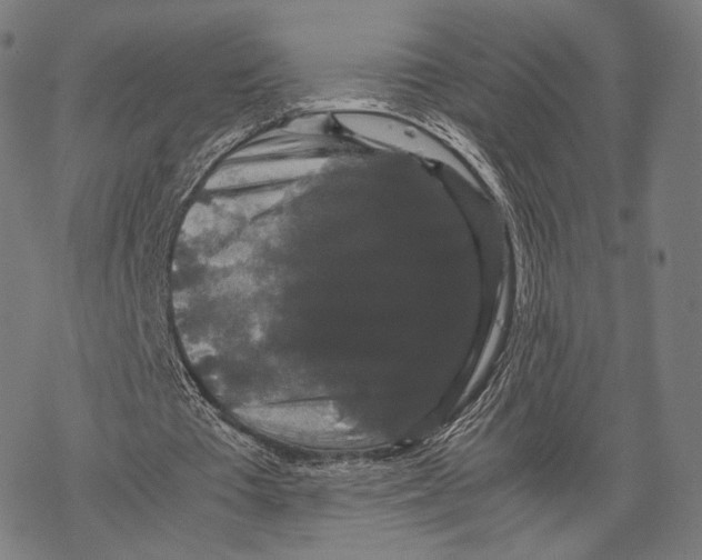 X0000067870385200605111805