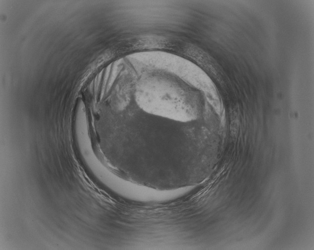 X0000067870386200605111805