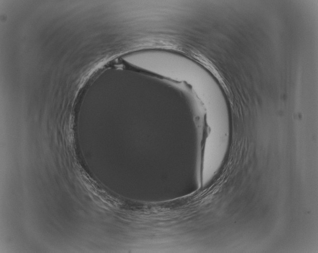 X0000067870387200605111805