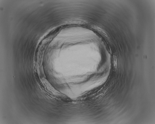 X0000067870388200605111805