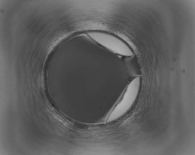 X0000067870391200605111805