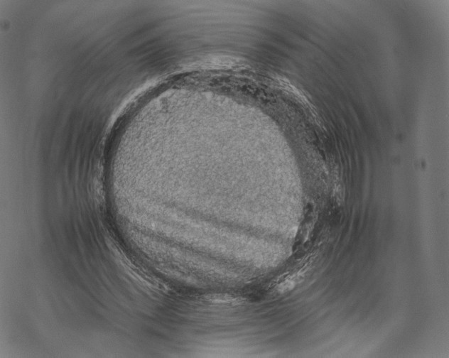 X0000067870392200605111805