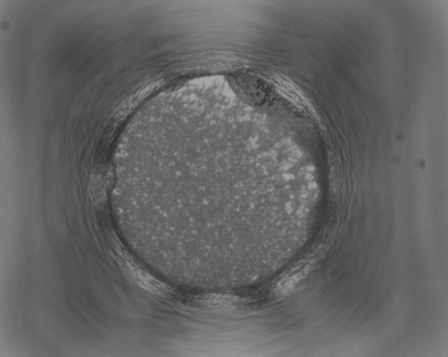 X0000067870393200605111805