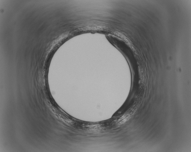 X0000067870395200605111805