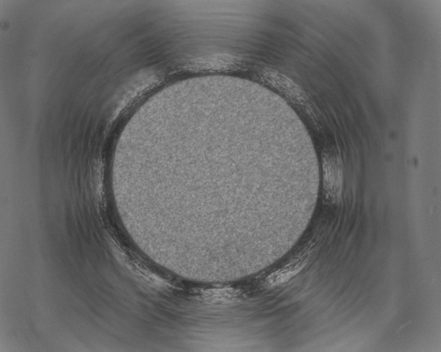 X0000067870396200605111805