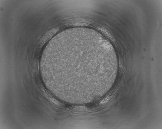 X0000067870397200605111805